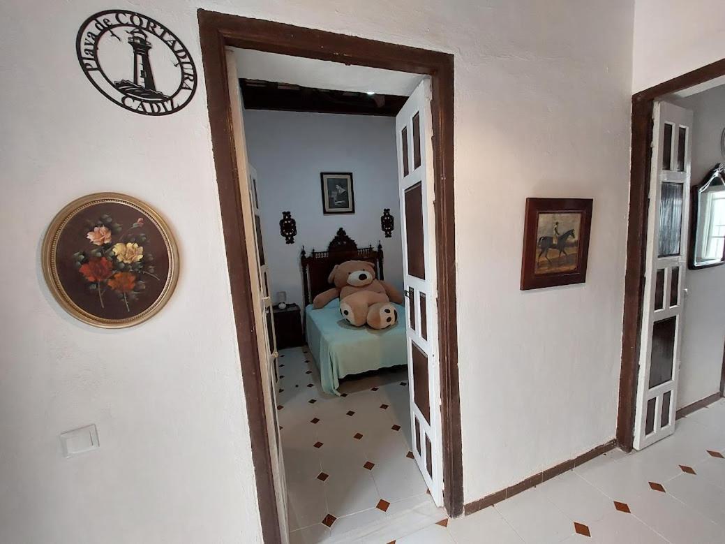 Casa Madre Gelart Patrimonio Gaditano Del Siglo XIX サン・フェルナンド エクステリア 写真