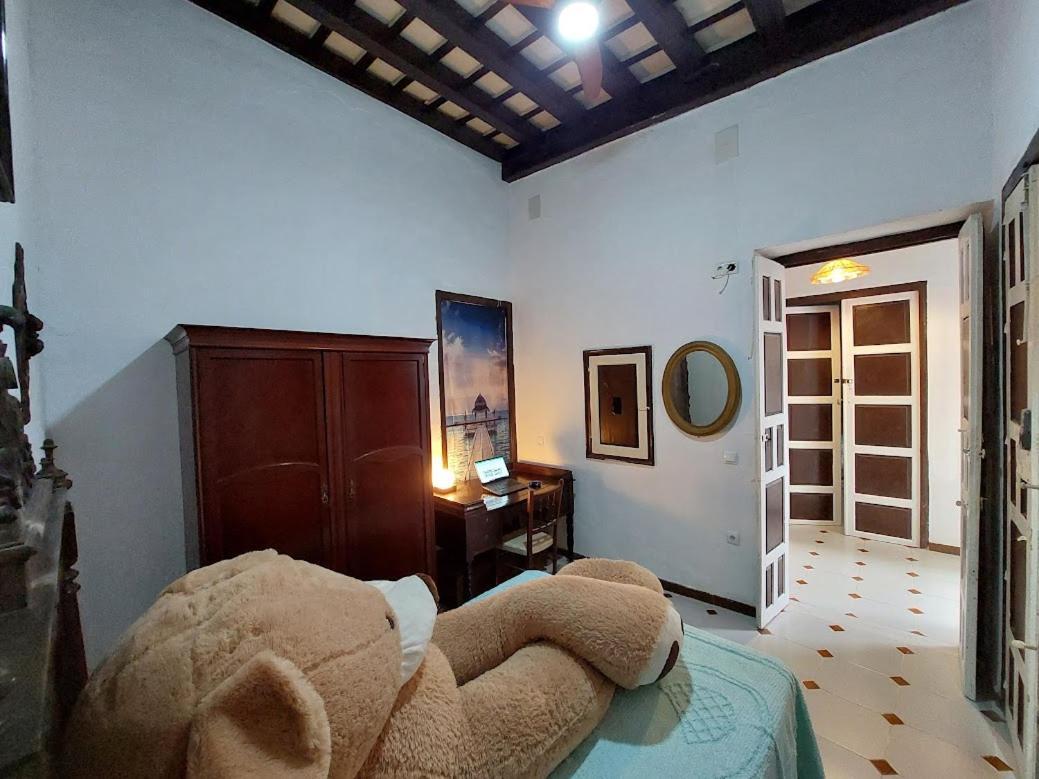Casa Madre Gelart Patrimonio Gaditano Del Siglo XIX サン・フェルナンド エクステリア 写真