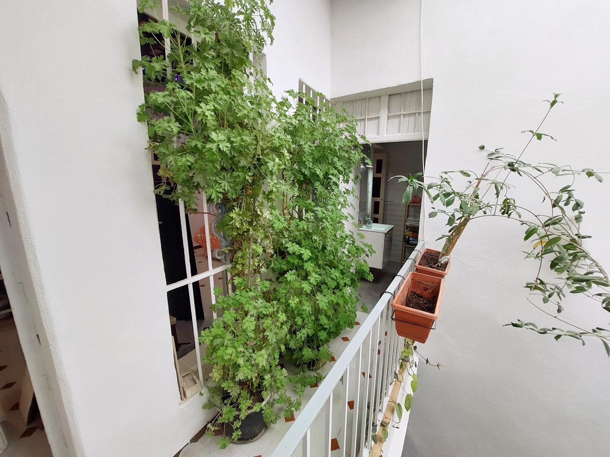 Casa Madre Gelart Patrimonio Gaditano Del Siglo XIX サン・フェルナンド エクステリア 写真